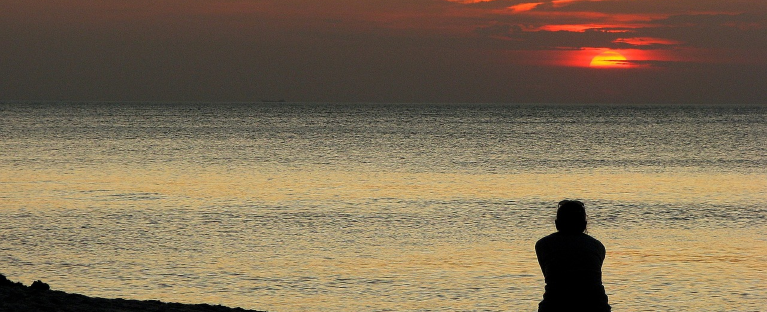 Deixe de Querer Entender e Fique em Paz…