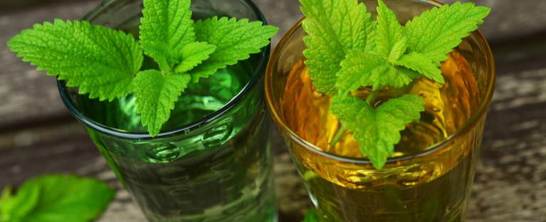 O Poder Oculto das Plantas e Ervas